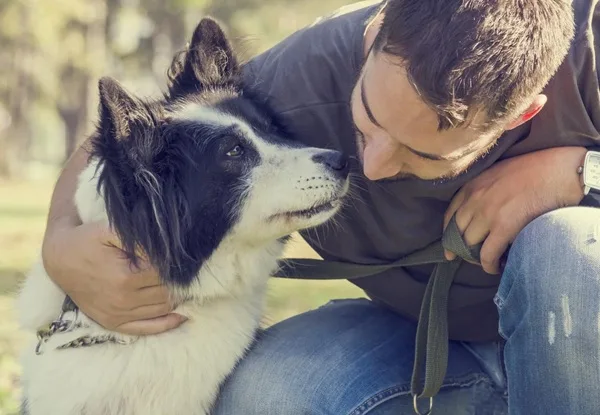 Capobranco per i cani, chi è tra i padroni?
